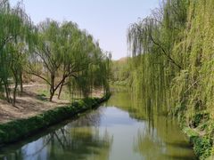 -赵州桥景区