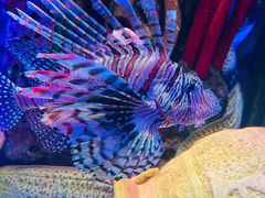 -沈阳海洋探索中心