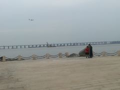 -宝安西湾红树林湿地公园