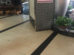 -绿杨春·淮扬宴(庐山路店)