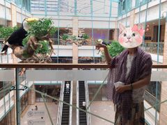 -大族广场Mall&More