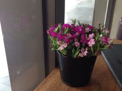 -榖屋house of flour(张江首店)