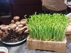 -捞王猪肚鸡火锅(金华义乌之心店)