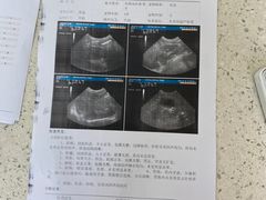 -美联众合动物医院·24h京西诊疗中心