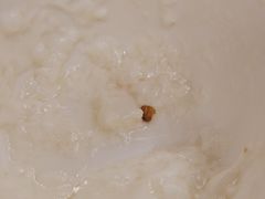 -荔湾博物馆