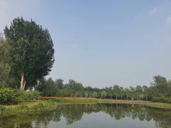-东郊湿地公园