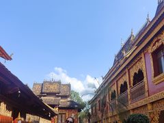 -西双版纳傣族园