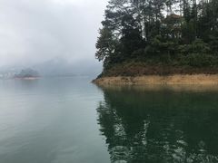 -广州市流溪河国家森林公园