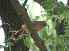 -上海滨江森林公园