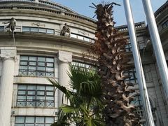 -上海棕榈滩海景酒店