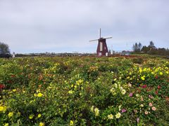 -北纬44度·金珠花海休闲农业旅游景区
