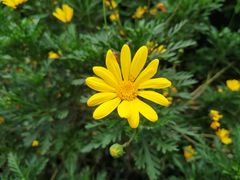 -上海市控江中学