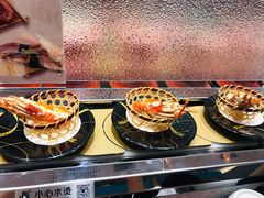 -争鲜回转寿司(南开大悦城店)