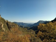 -大岭沟猕猴桃谷风景区