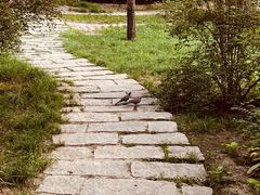 -元大都城垣遗址公园