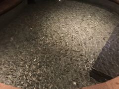 -悦隆庄温泉度假酒店