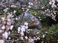-雨花胜境