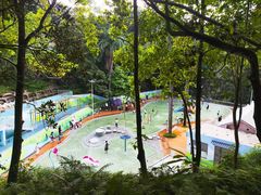 -广州市流溪河国家森林公园