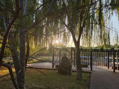 -石家庄市植物园