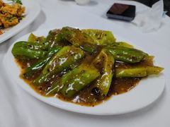 -新陶陶酒家
