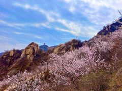 -北京凤凰岭