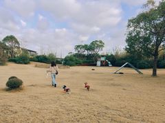 -上海崇明金茂凯悦酒店