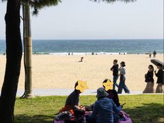-海云台海滩