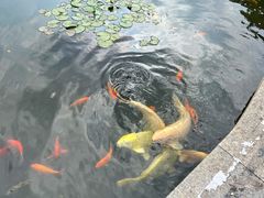 -晋江五店市传统文化旅游区