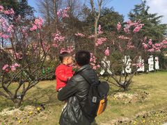-平湖九龙山旅游度假区