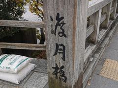 -天龙寺