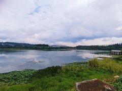 -洛龙公园