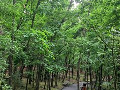 -六鼎山文化旅游区