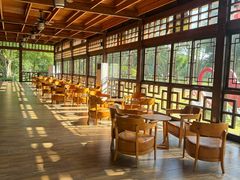 -东南花都花博园