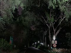 -金鸡山公园
