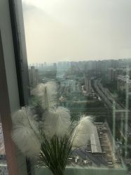 -久匠半永久纹眉