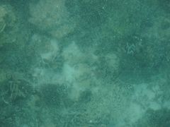 -东姑阿都拉曼海洋公园