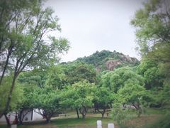 -灵岩山风景区