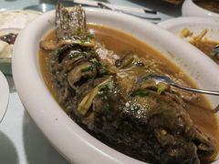葱椒黄河浸大鲤鱼-豫满楼(郑东新区店)