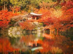 -醍醐寺
