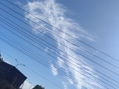 -中粮丰通（北京)食品有限公司