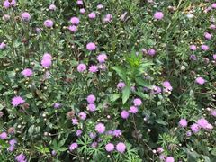 -南京金牛湖风景区