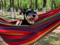 -长白岛森林公园