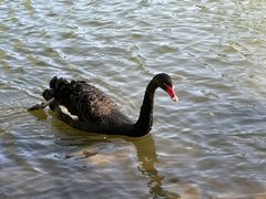 -蓝地时尚庄园(北京清河营地铁站店)