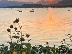 -湖畔居茶楼(湖滨店)