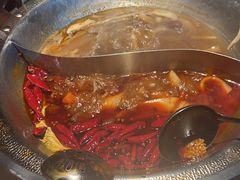 -辣伍鲜毛肚老火锅(元一店)