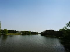 -贡湖湾湿地公园