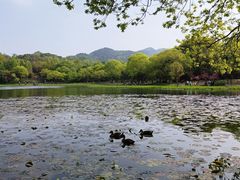 -茅家埠
