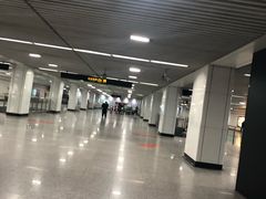 -杨高南路(地铁站)