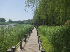 -苏州太湖湖滨国家湿地公园