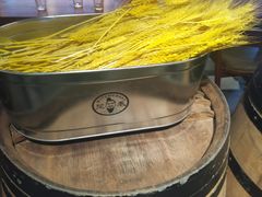 -二酉书店TOYOU BOOKS